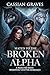 Mated to the Broken Alpha: A Rejected Mate Werewolf Shifter Romance