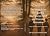 The Silent Echo: : Navigati...