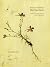 Rosa Luxemburg's Herbarium: Radical Ecology and the Global Plantation