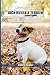 Living with a Jack Russell Terrier by Poppy Clark