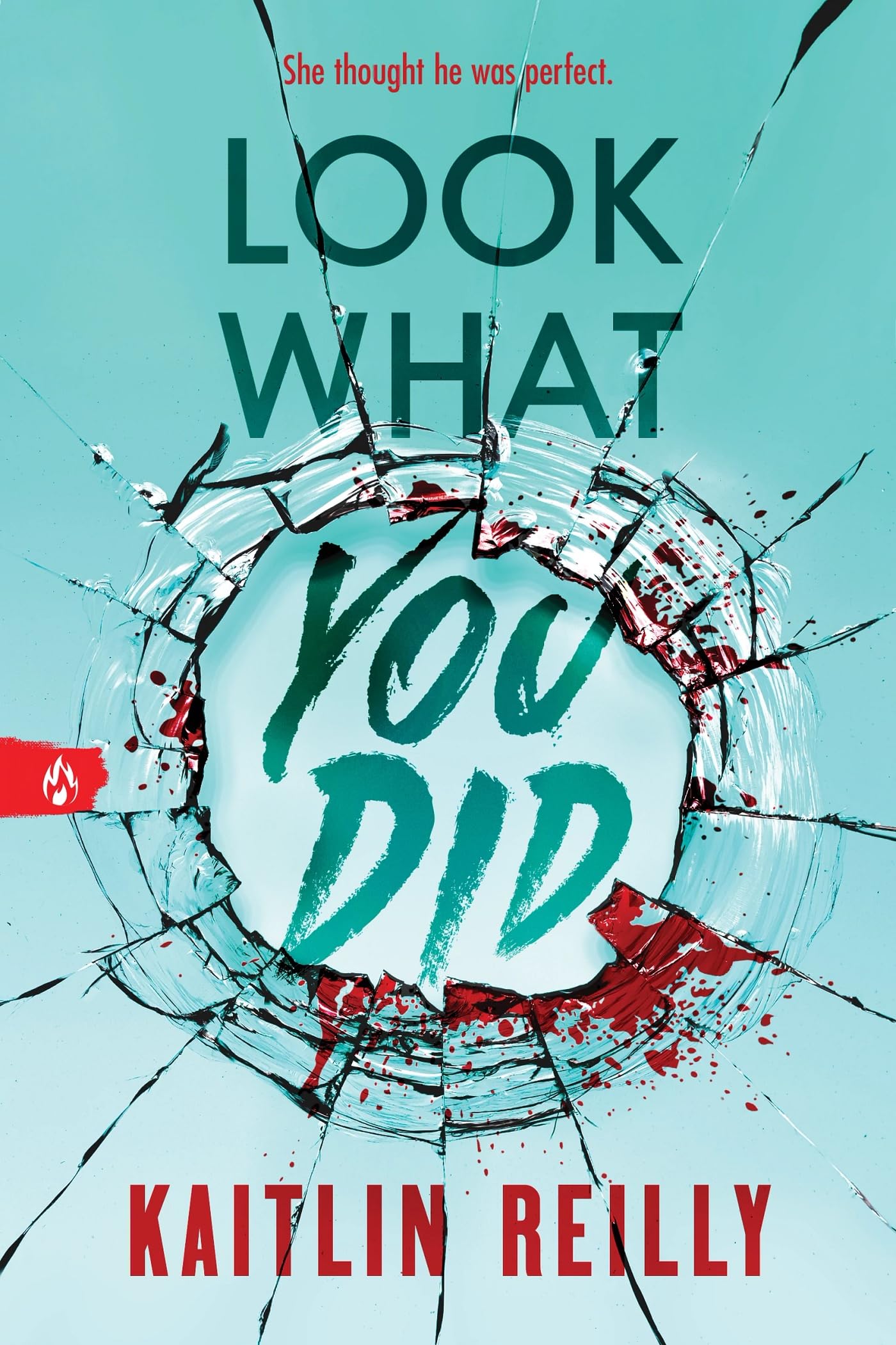 Look What You Did (Paperback)