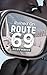 Ruined on Route 69: A Virgi...