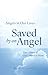 Saved by an Angel : True Stories of God's Hand at Work (Angels in Our Lives Book 1)