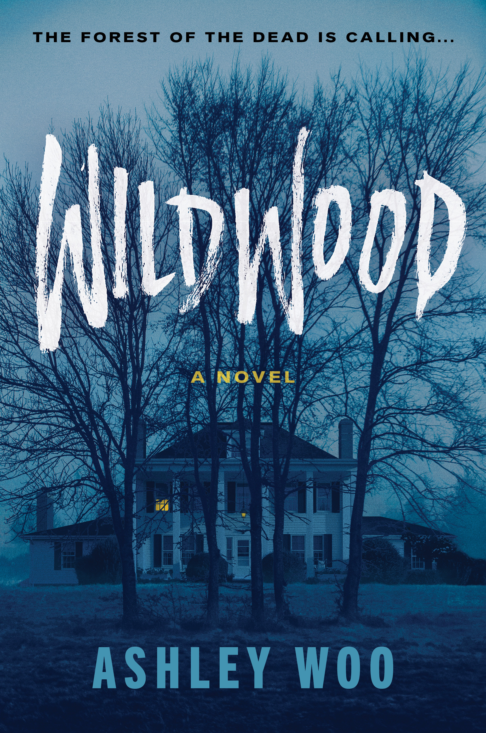 Wildwood: A Novel (Paperback)