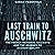 Last Train to Auschwitz by Sarah Federman
