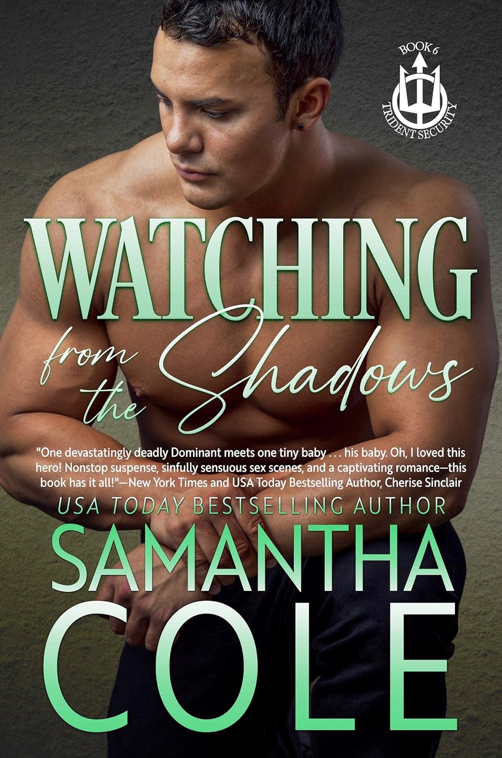 Watching from the Shadows (Trident Security, #5)