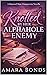 Knotted by Her Alphahole Enemy: A Rejected Mate Omegaverse Novella (Knotted by the Alphahole)