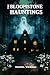 The Bloomstone Hauntings (B...