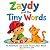 Zaydy and the Tiny Words: A...