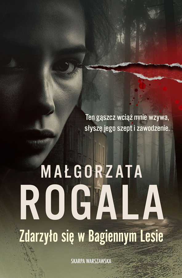Zdarzyło się w Bagiennym Lesie (ebook)