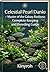 Chili Rasbora – The Complet...