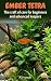 Ember Tetra – Mastering Their Care for Beginners and Advanced... by Kinyroh