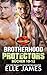 BROTHERHOOD PROTECTORS REIHE BOX SET 4: BÜCHER 10 - 12 (BROTHERHOOD PROTECTORS REIHE BOX SETS) (German Edition)