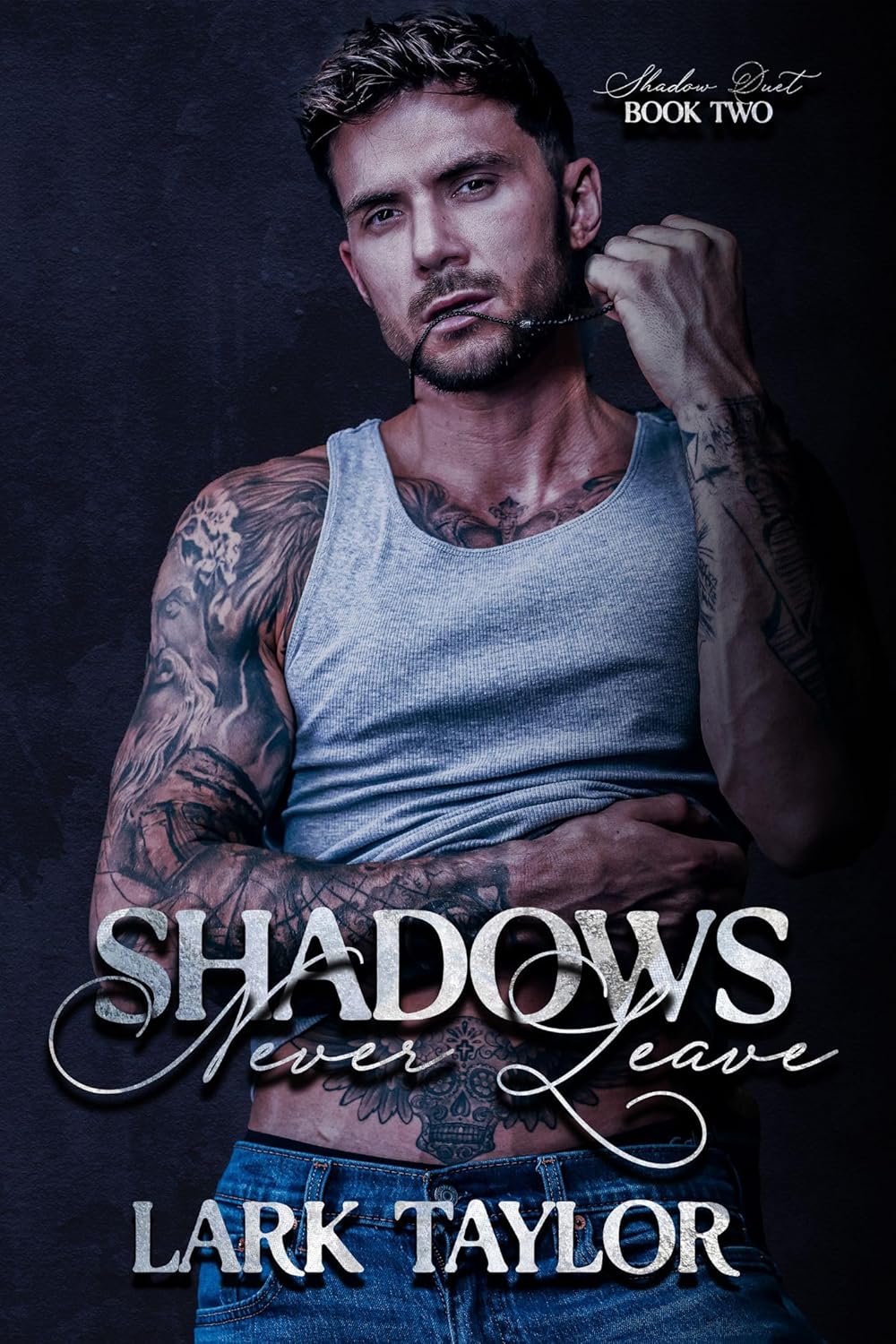Shadows Never Leave (Shadow Duet, #2)