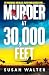Murder at 30,000 Feet: Check in for this summer's must-read thriller