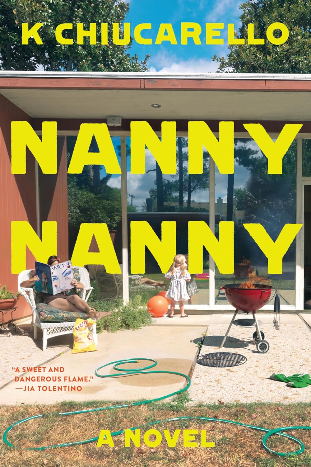 Nanny Nanny (Hardcover)