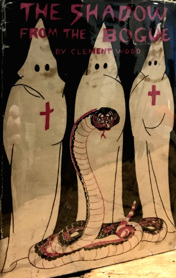 The Shadow from the Bogue (Hardcover)