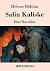 Salin Kaliske by Helene Böhlau