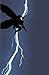Batman: The Dark Knight Returns (New Edition)