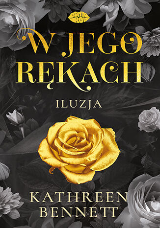 W jego rękach. Iluzja (Boston story, #1)
