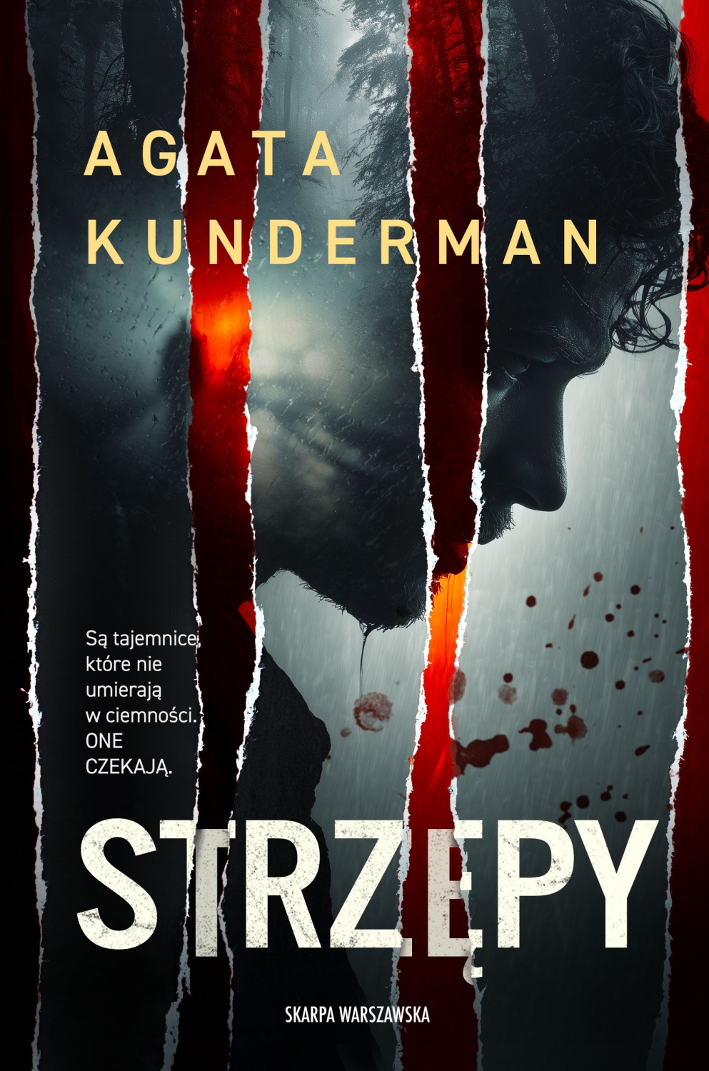 Strzępy (Paperback)