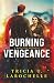 Burning Vengeance: A Fireman Romantic Suspense