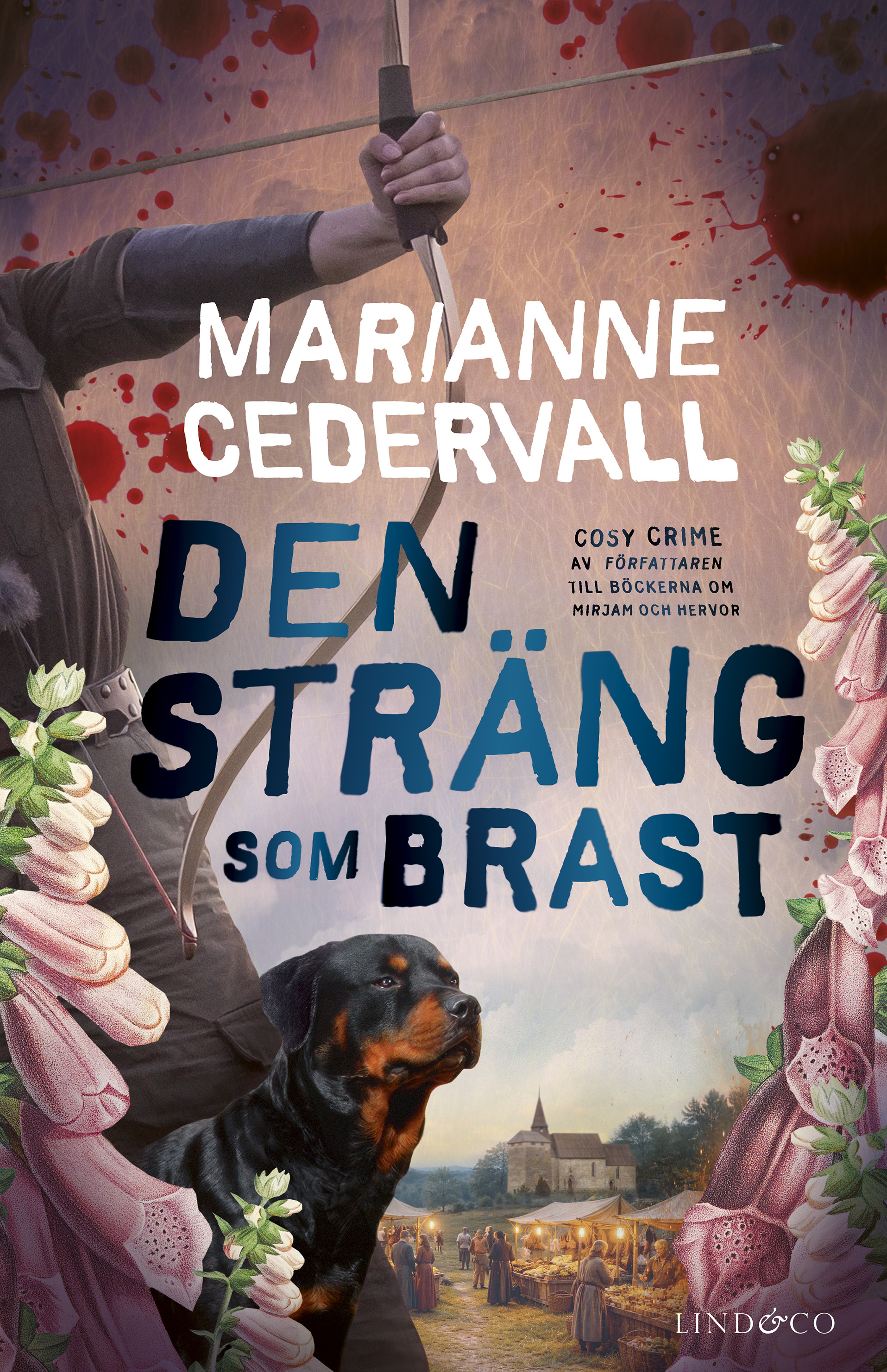 Den sträng som brast (Anki Karlsson, #8)