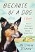 Because of a Dog by Matthew Sigman
