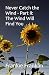 Never Catch the Wind Part II by Mr Frankie Franklin