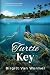 Turtle Key - A Novel about ...