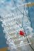 Czech Indonesian English Tr...