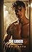 The Lodger: A Steamy Straig...