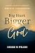 Big Hurt, Bigger God  by Debbie W. Wilson