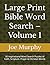Large Print Bible Word Sear...