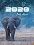 Daily Planner 2020 Contains...