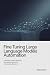 Fine Tuning Large Language ...