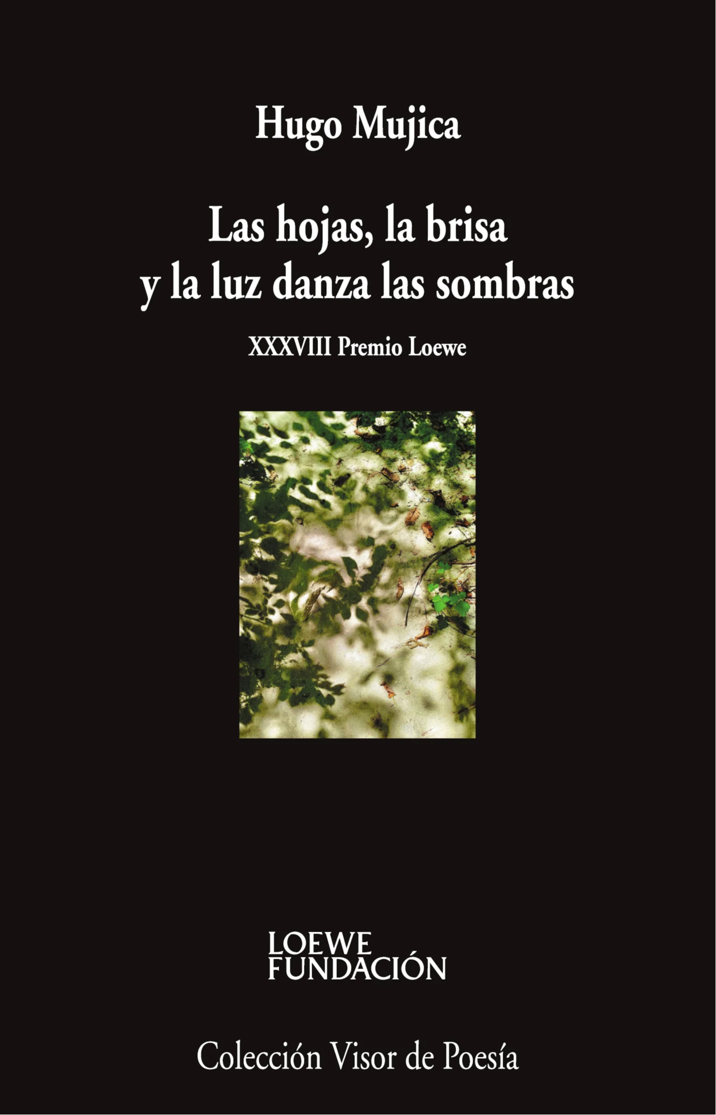 Las hojas, la brisa y la luz danza las sombras