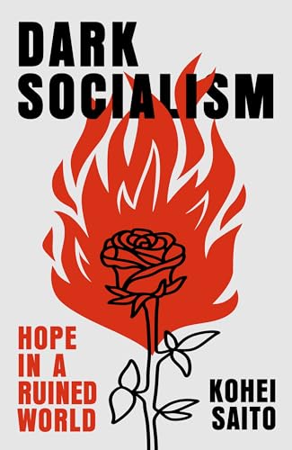 Dark Socialism: Hope in a Ruined World (Kindle Edition)