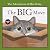 The Adventures of Moe Kitty...