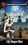 So Hexcited: A Su...
