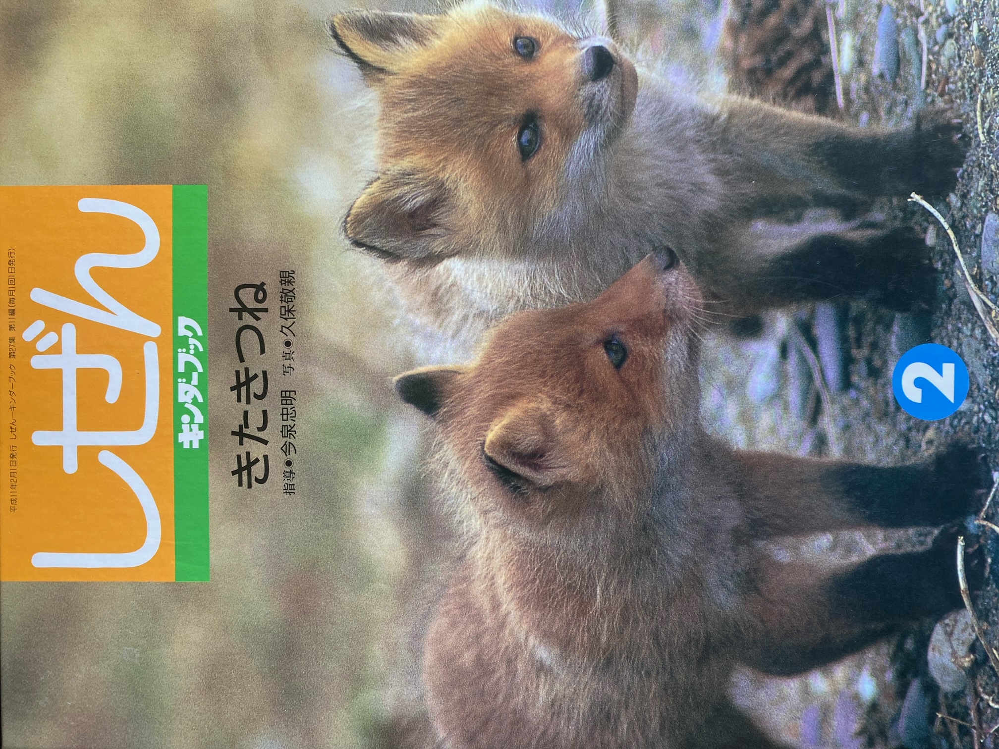 きたきつね しぜん2　キンダーブック (Hardcover)