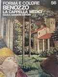 Benozzo: la Cappella Medici Forma e Colore 56; i Grandi Cici dell'arte