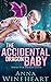 The Accidental Dragon Baby (Babies For Broken Dads, #1)