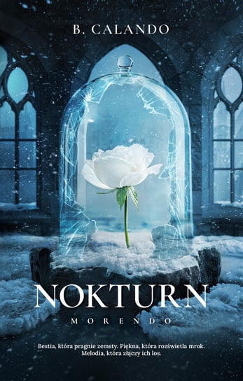 Nokturn