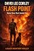 Flash Point: A Suspenseful, Adventure Thriller (Black Mountain Book 1)