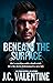 Beneath the Surface (Blackridge Detectives Book 3)