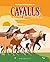 Tot el que cal saber sobre els cavalls
