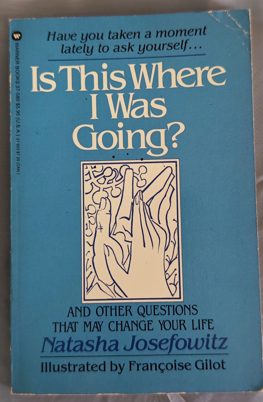 Is This Where I Was Going?