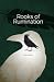 Rooks of Rumination