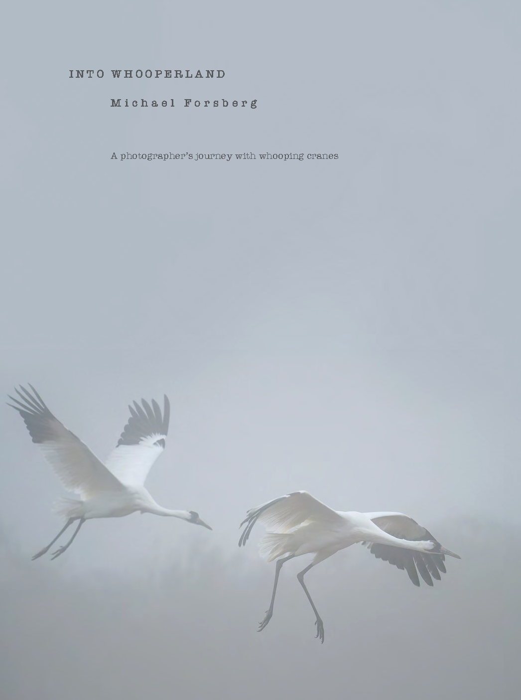 Into Whooperland (Paperback)